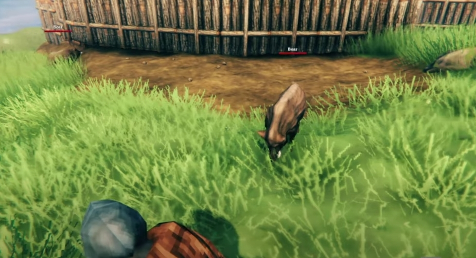 Valheim Boar, wie man zähmt