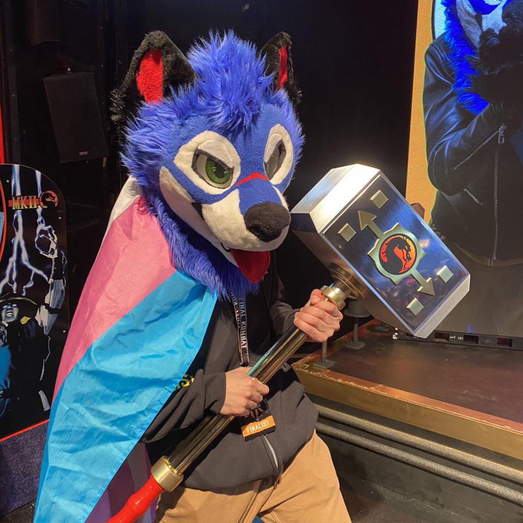 sonicfox trans flag