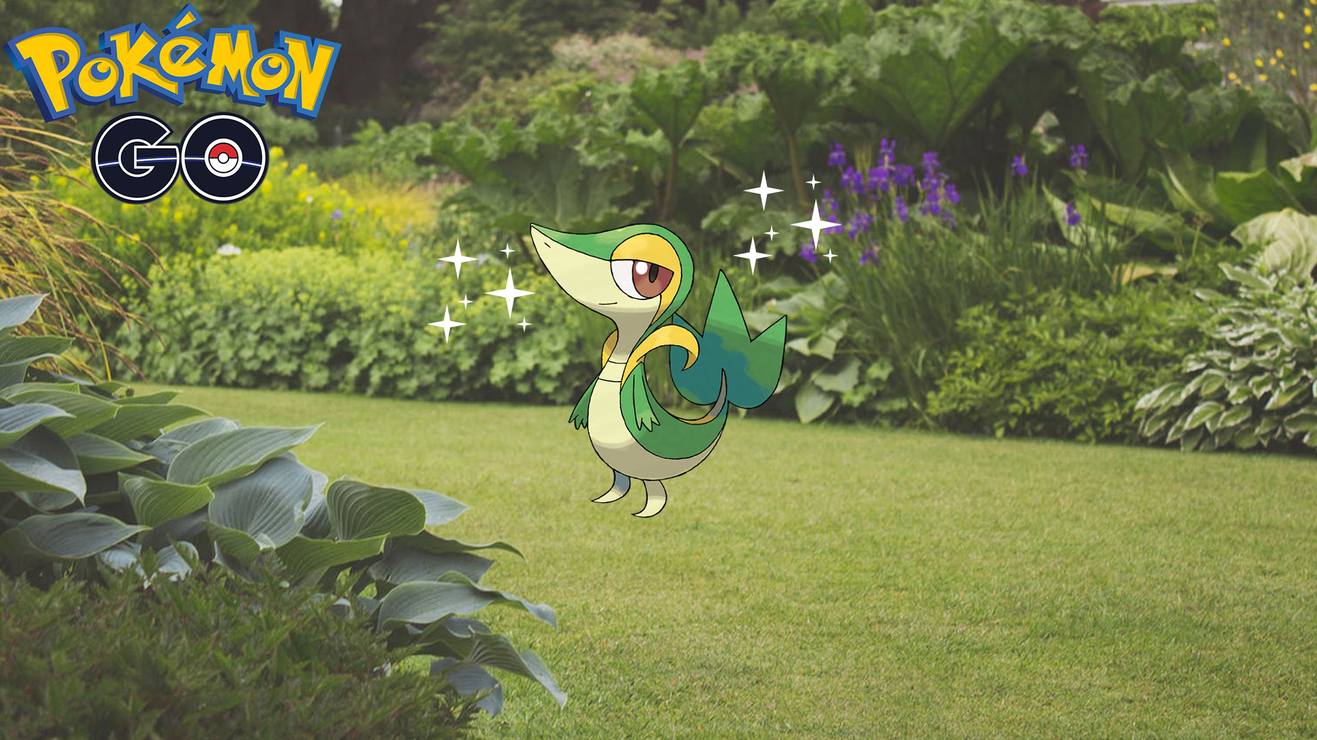 Wie man Shiny Snivy in Pokémon GO fängt