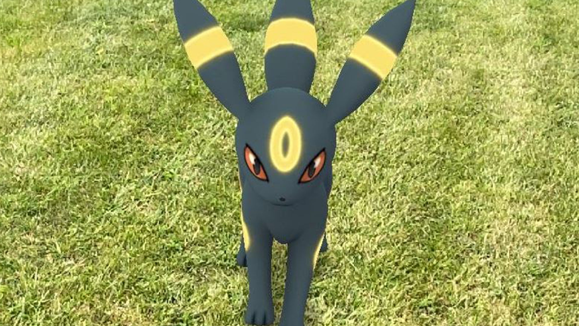 Wie man Eevee in Pokémon GO zu Umbreon entwickelt