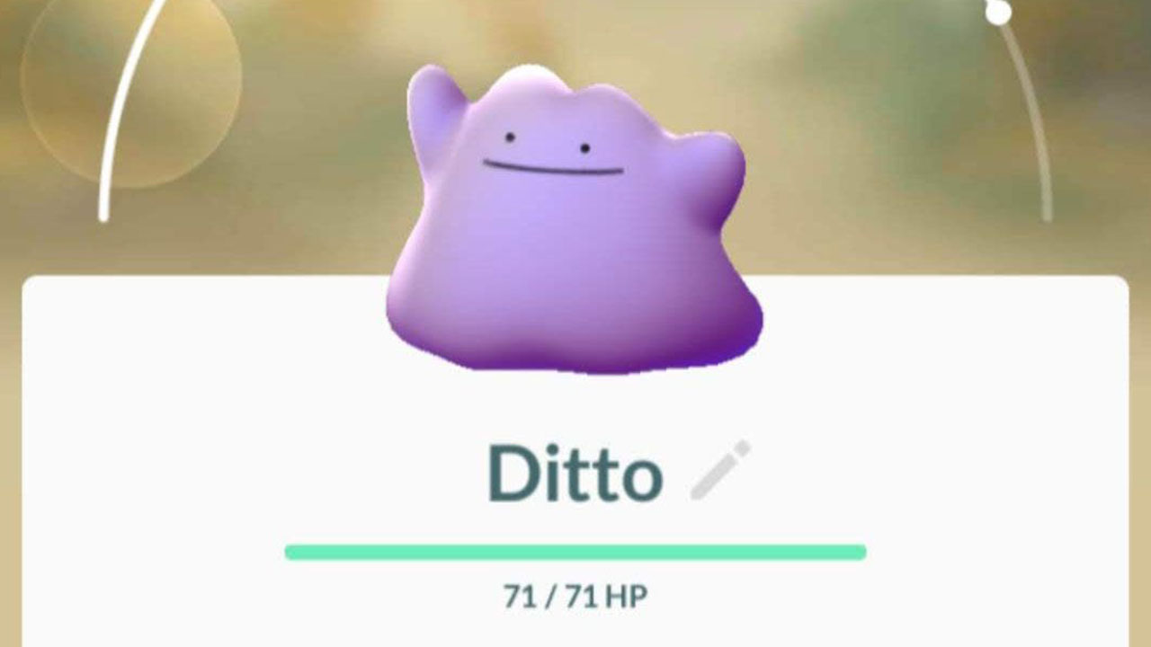 Wie man ein Dito in Pokémon GO fängt