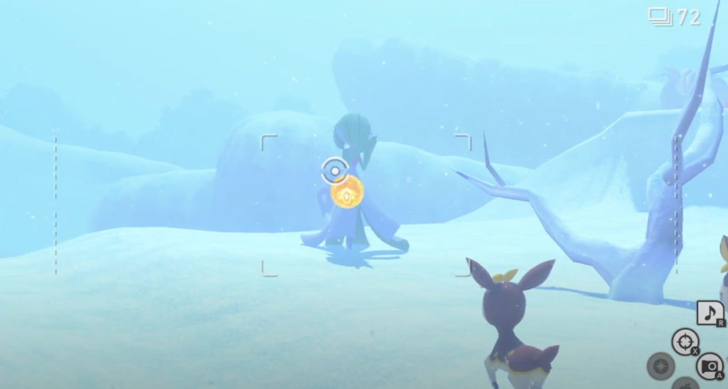 Neuer Pokemon Snap: Winter Wonders Request Schritt 3