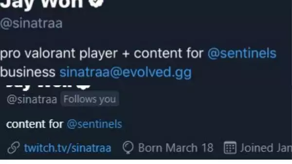 sinatraa valorant pro