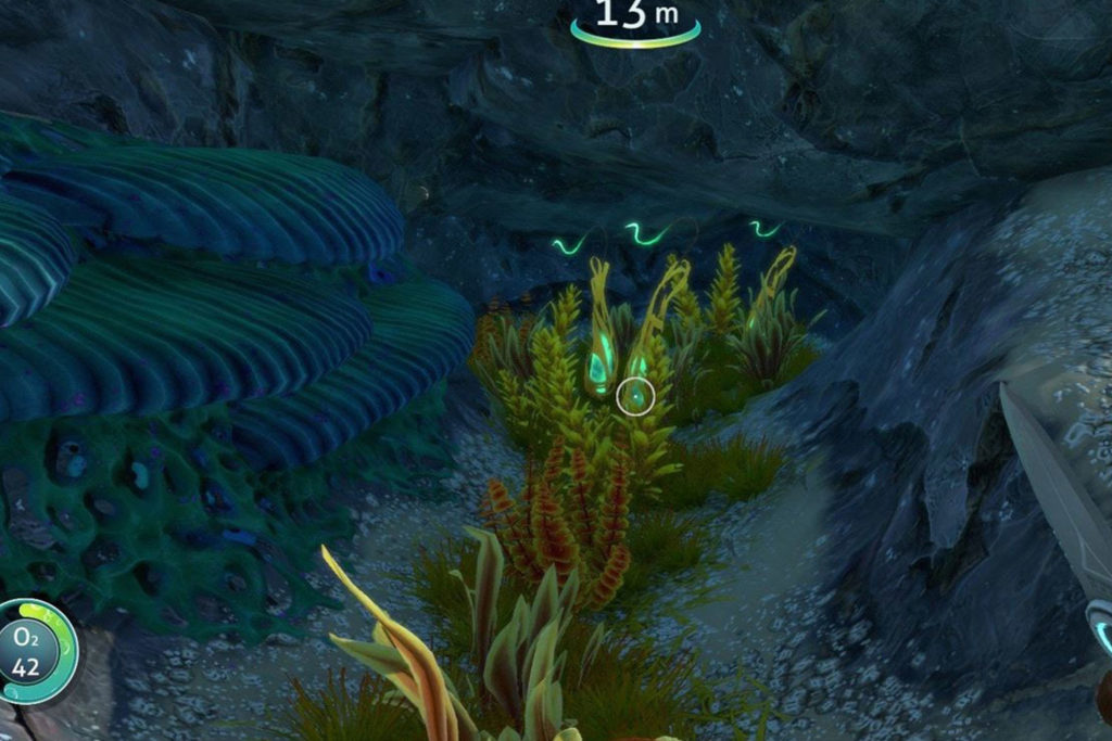 Wo man Bandpflanzen in Subnautica findet: Unter Null