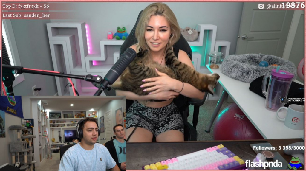 Mizkif trollt Alinitys Katzenwurf-Skandal im Twitch-Stream