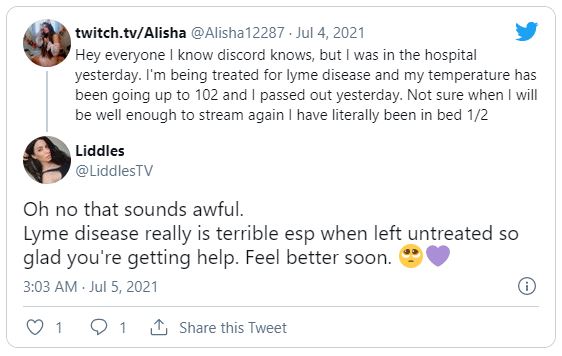 Alisha Twitch Streamer Lyme-Borreliose