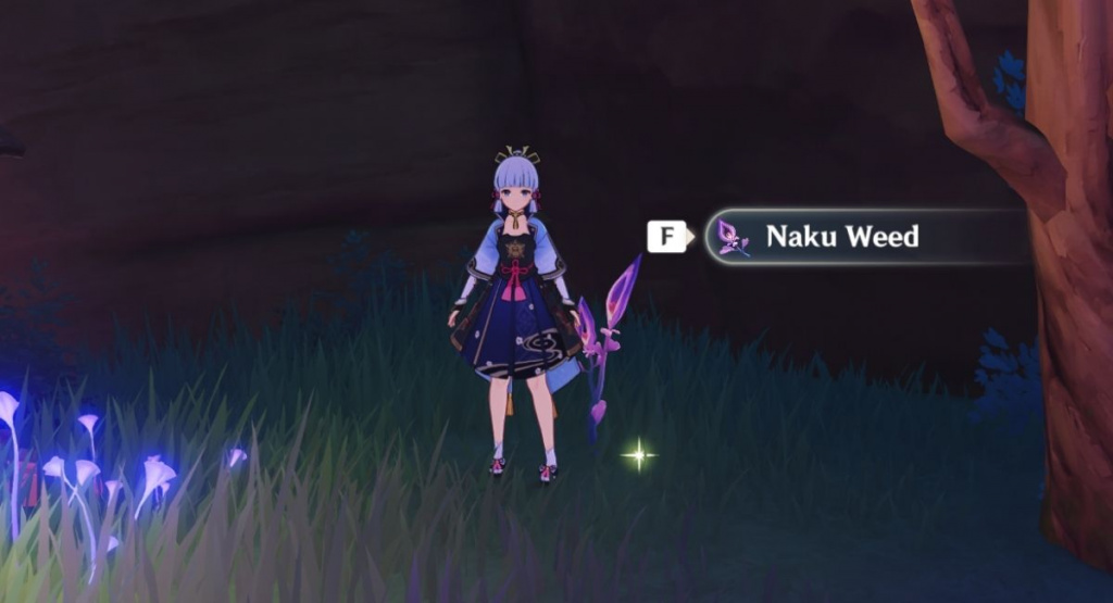 Where to find Naku Weed in Genshin Impact