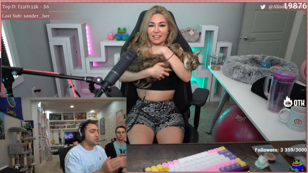 mizkif alinity katzenwurf werfen zucken skandal