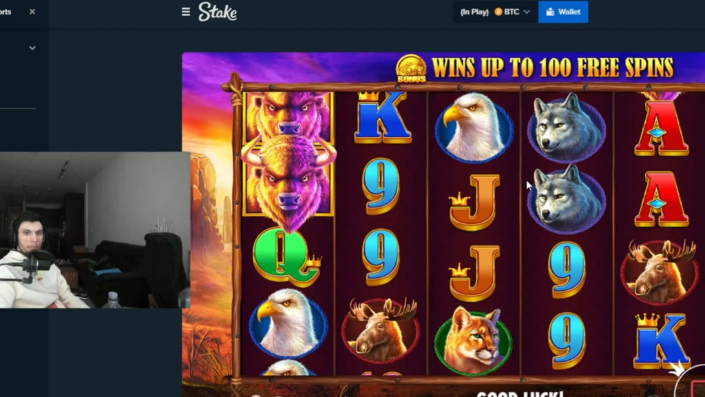 Trainwrecks Online Casino Gamba Stream Twitch Wired