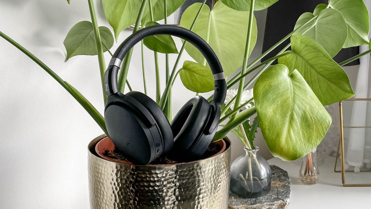 Sennheiser HD 450SE im Test