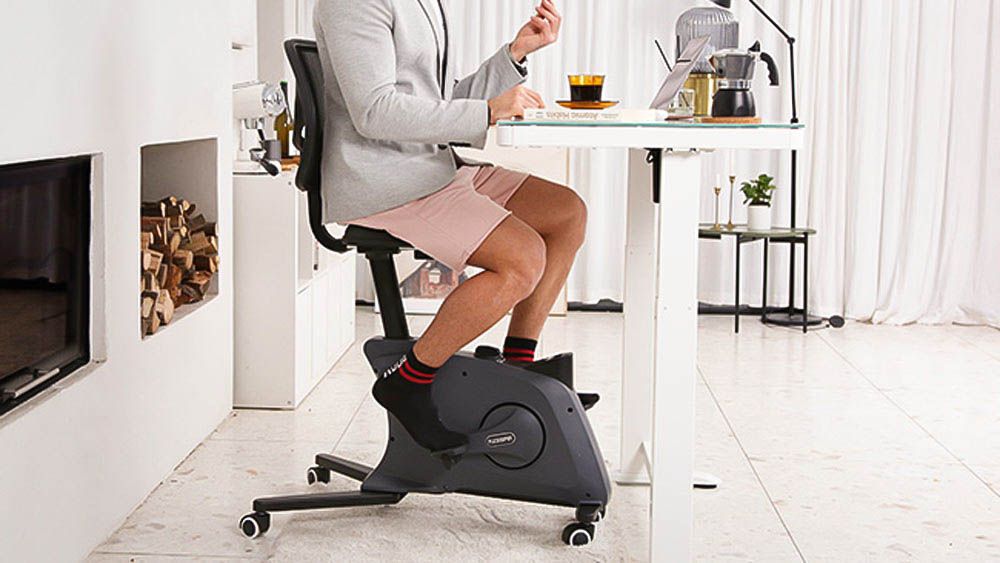 Flexispot Sit2Go 2-in-1 Fitnessstuhl (FC211W) Testbericht