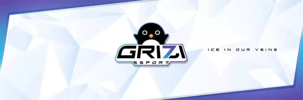 Grizi Esports Gaming-Organisation