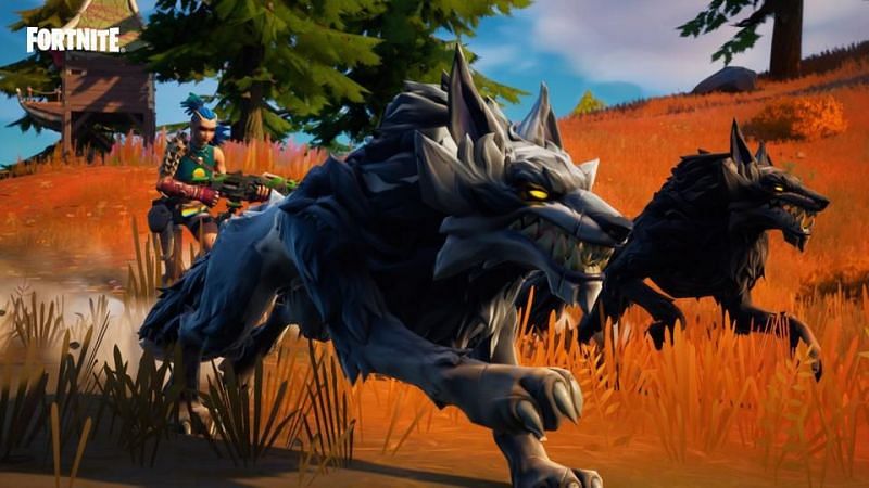 Fortnite Wolf Spawn-Standorte: Wo findet man Wölfe in Staffel 8