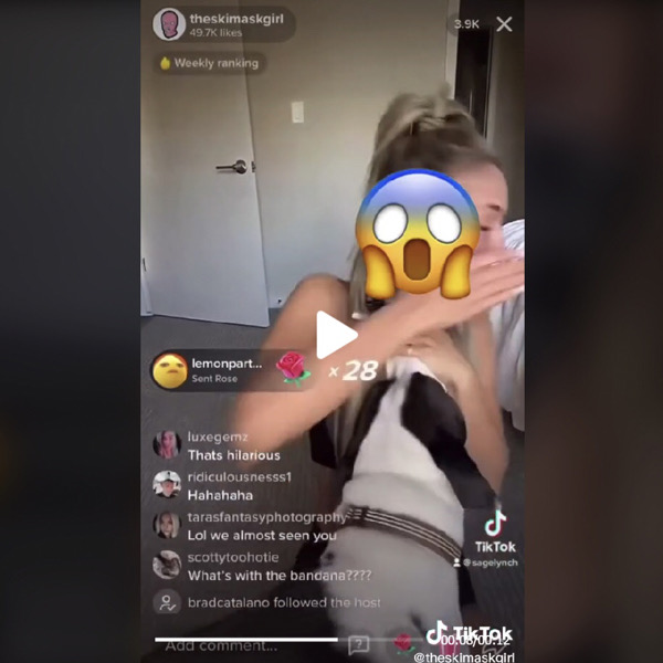 tiktok theskimaskgirl Gesicht enthüllen tiktok theskimaskgirl Gesicht enthüllen Hund