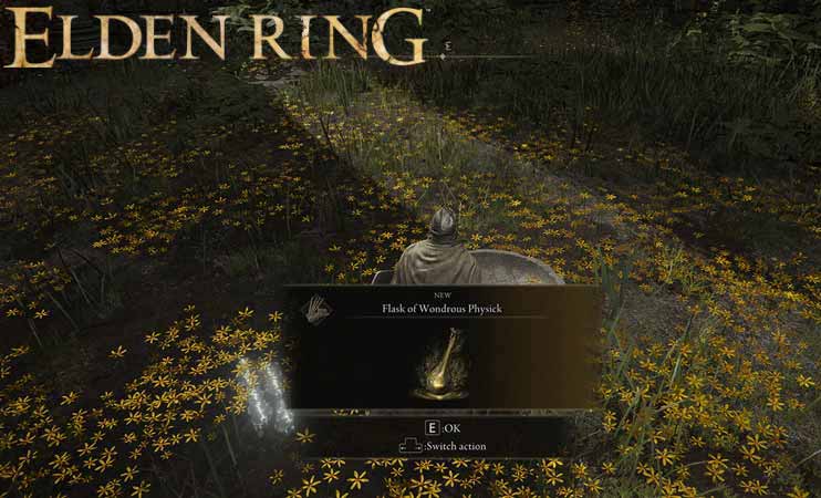 Elden Ring Flask of Wondrous Physick-Spiel-Screenshot