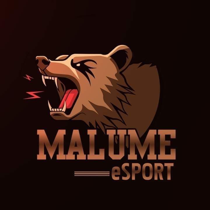 malumes Spielplatz Familienspielzentrum Esports Teampläne