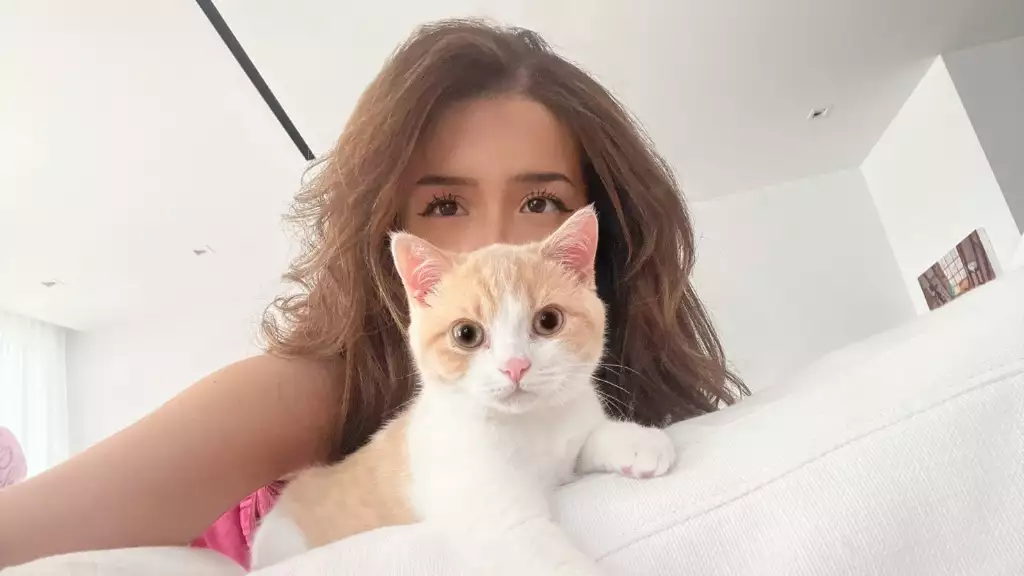 Pokimane Twitch Streamer Tapferes Missgeschick