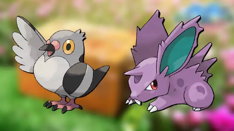 Pidove und Nidoran