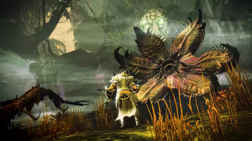 Preis des Guild Wars 2 Sammlungspakets