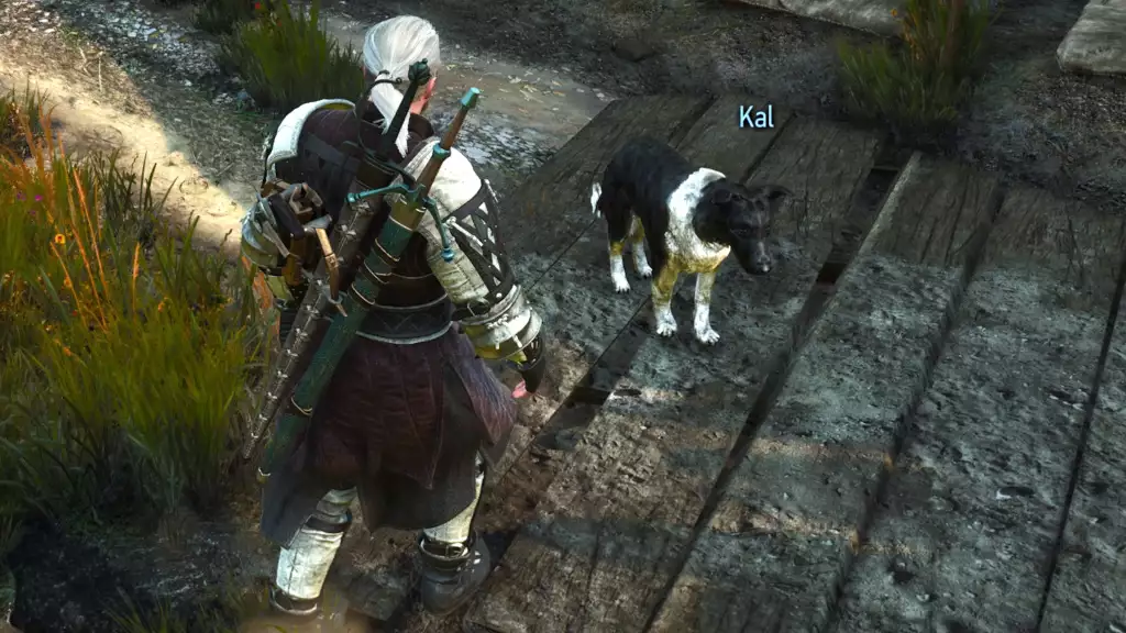 the witcher 3 next gen update guide henry cavill dog kal wie findet man in der ewigen feuer schatten quest