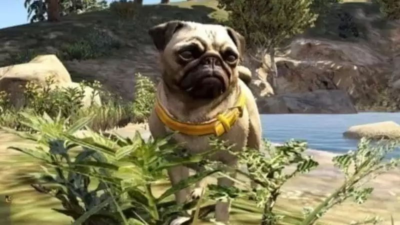 peyote gta online hund