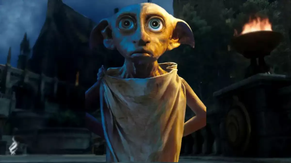 Is Dobby The Elf In Hogwarts Legacy