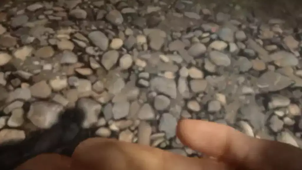 Söhne des Waldressourcenführers Wasserstellen See Flussufer Sie sind durstig Ziel