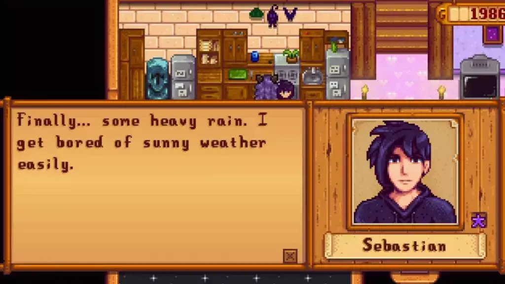 Stardew Valley Sebastian