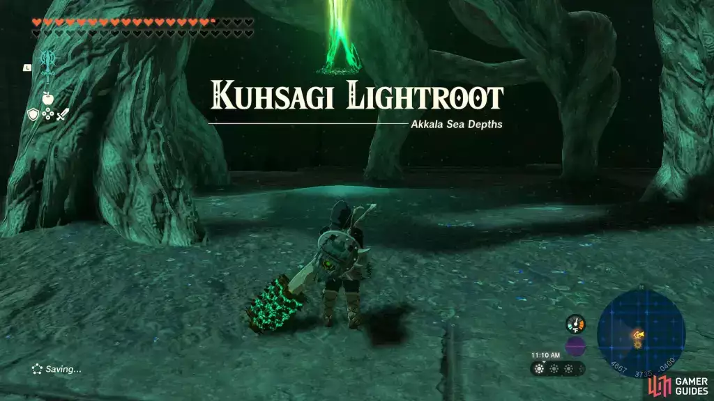 Lightroot ist an mehreren Standorten in Hyrule zu finden