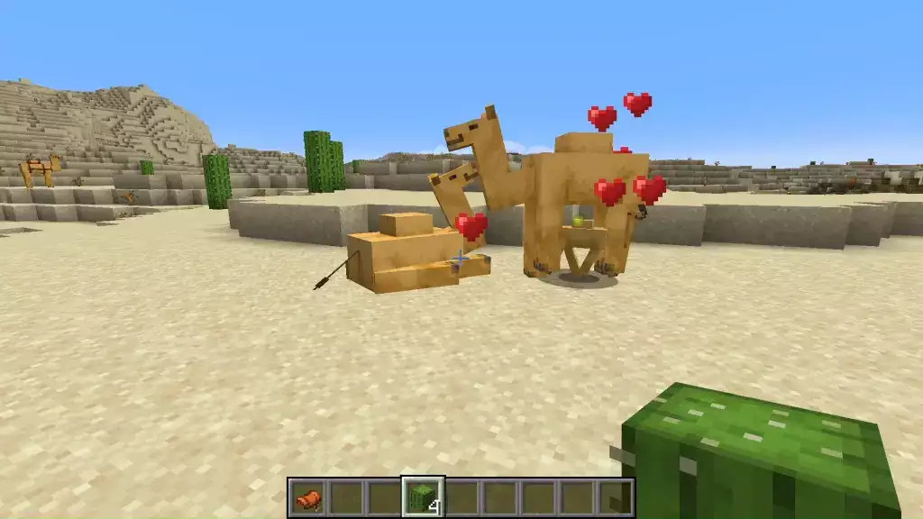 Füttere Kamele mit Kakteen, um Kamelbabys zu bekommen.  (Bild: Mojang/JayDeeMC)