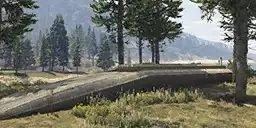 Bunker-GTAO-PaletoForest