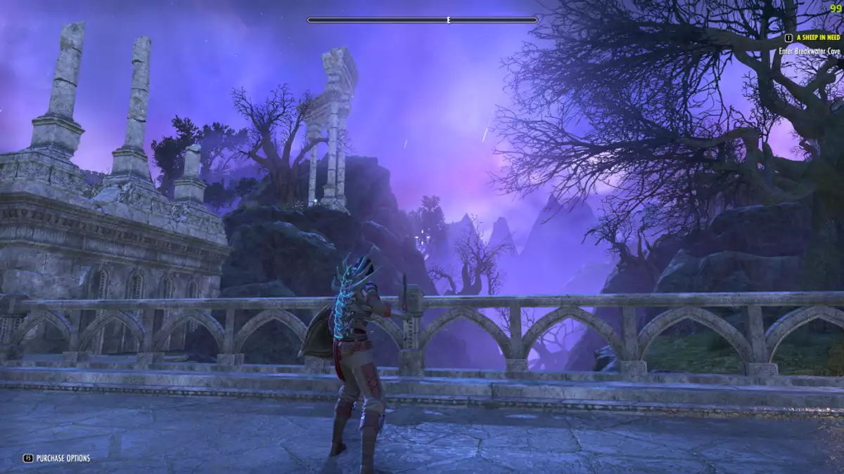 Best Necromancer Magicka Build in ESO