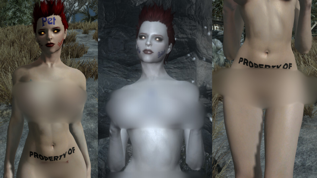 Skyrim Sex Mod