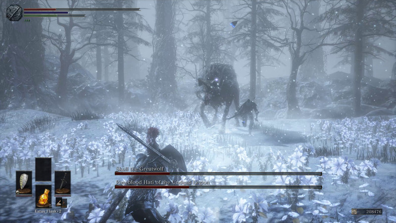 Dark Souls Archthrones Rimeblood Hati und Greatwolf Skoll Boss Allgemeine Tipps