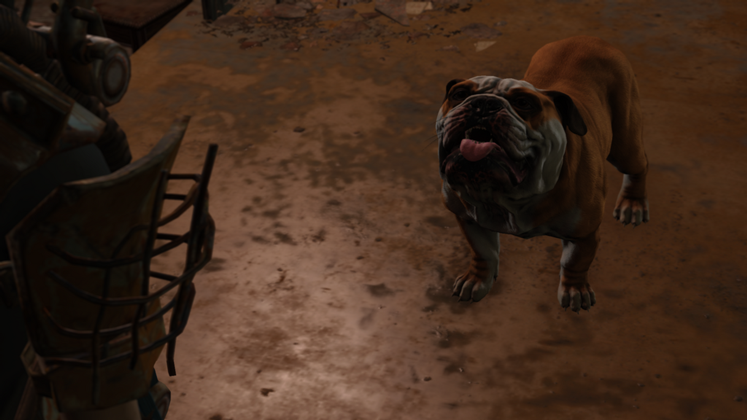 So bekommt man in Fallout London einen Hund