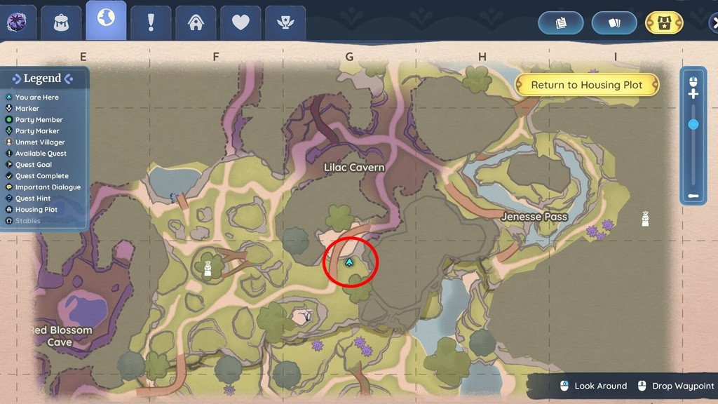 Palia_quests_little_bumbles_pie_treasure_box_map_location_singularity6.jpg