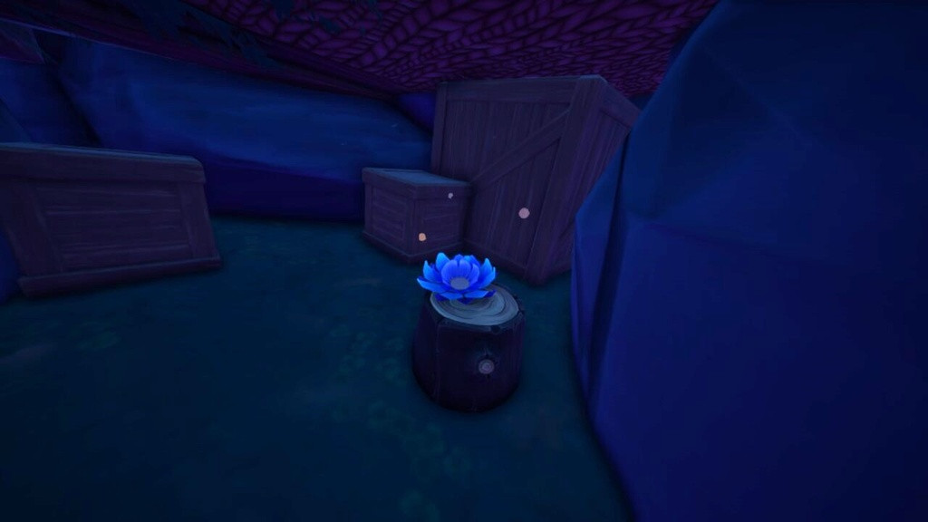 Palia_resources_sacred_flowers_elderwood_central_hidden_cave_in_game_location_singularity6.jpg