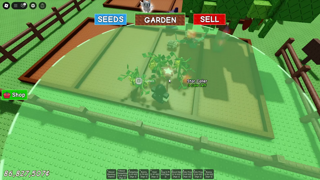 68396B95A1C33-Wie, um Star Caller in Grow a Garden zu bekommen! Roblox 0-39 Screenshot.png